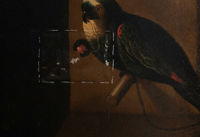 Test de nettoyage / ©Arcanes